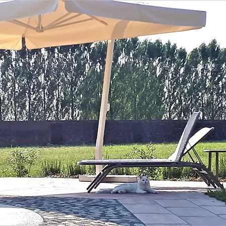 Casalbergo Appartement *
